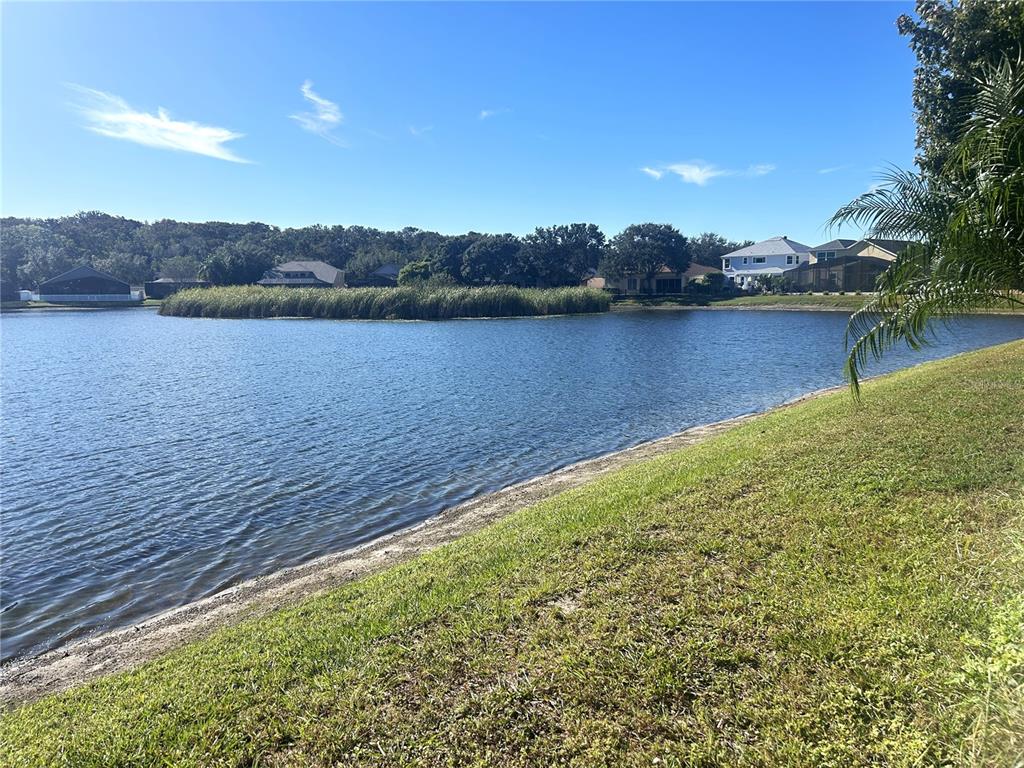 10702 Burning Bush Terrace Land O Lakes, FL 34638 - Photo 9 of 22 a view of a lake with houses in the back