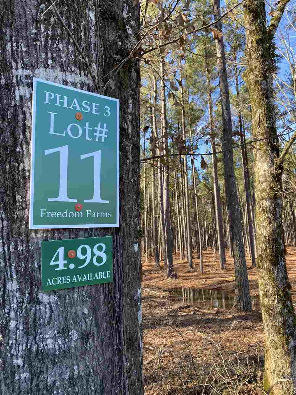 603 Stump Ridge Road, Unit 11 Brandon, MS 39047 - Photo 3 of 5 Photo 3