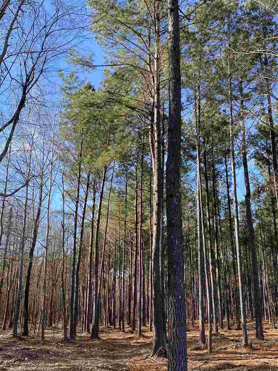 603 Stump Ridge Road, Unit 11 Brandon, MS 39047 - Photo 5 of 5 Photo 5