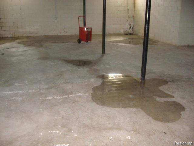 5525 Lyons Road Attica, MI 48412 - Photo 18 of 19 basement (2).jpg