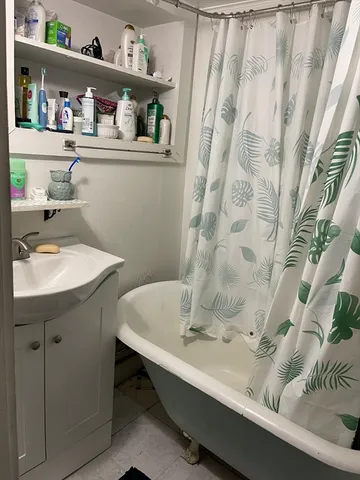 a white toilet sitting next to a shower curtain