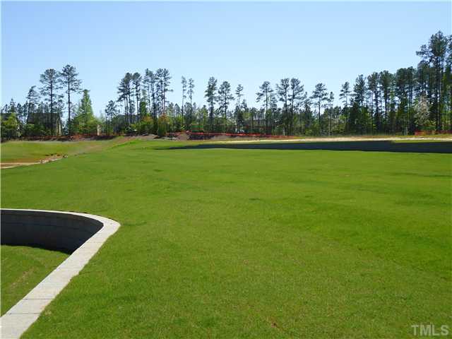 729 Wickham Ridge Road Apex, NC 27539 - Photo 25 of 25 Pemberley Park!