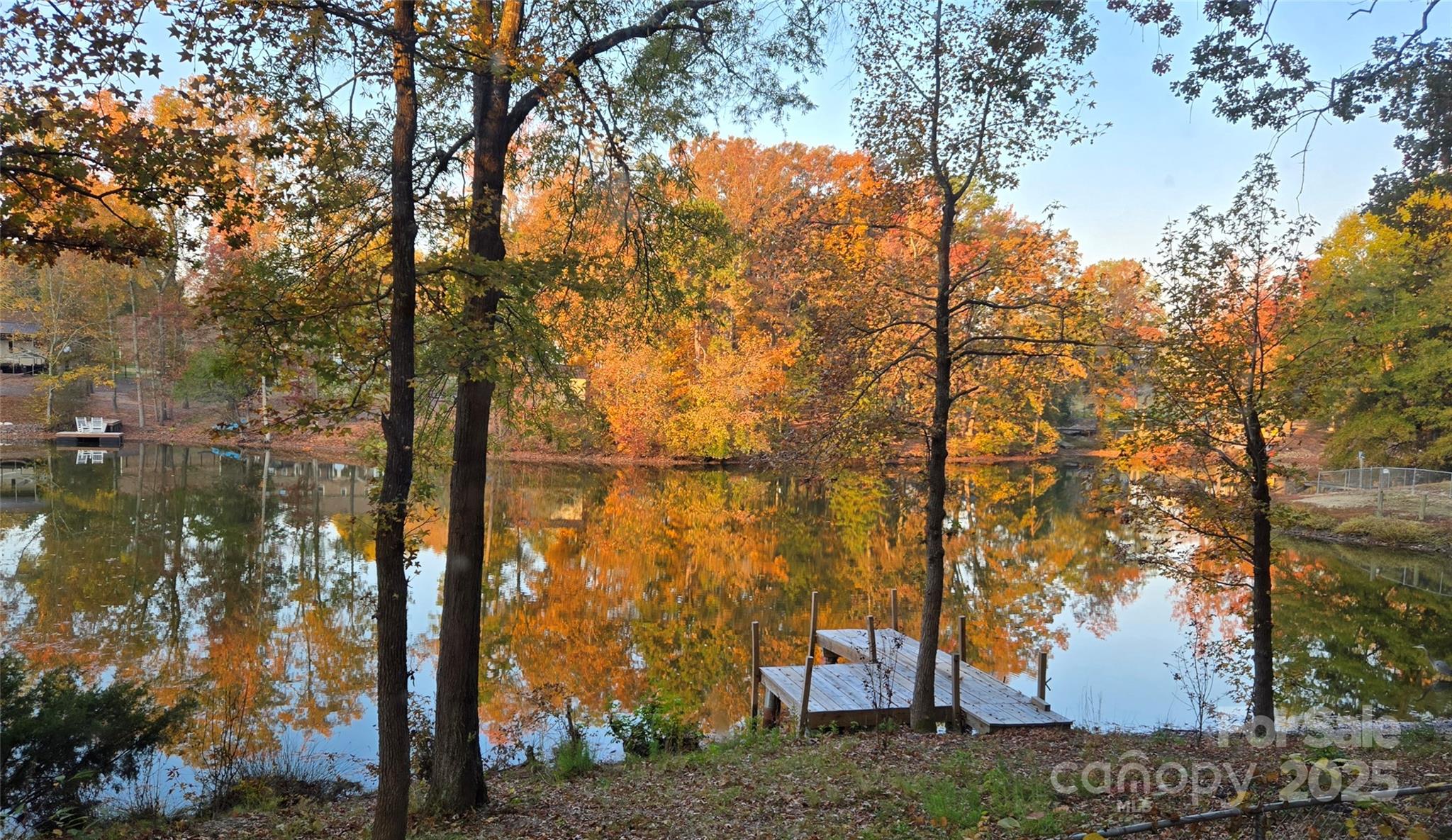 a view of lake with a tree