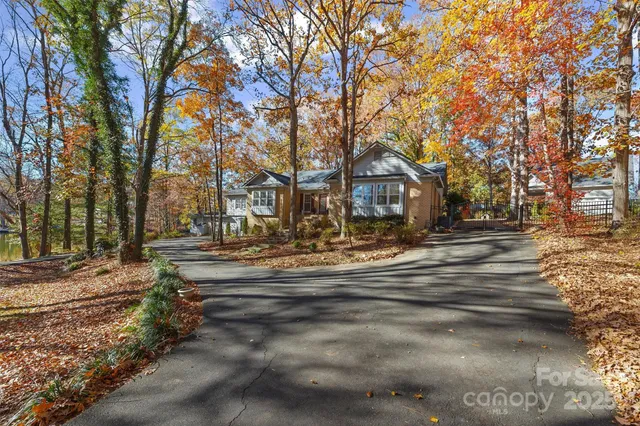 a view of a street with a tree