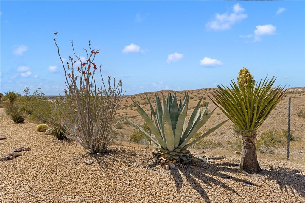 16222 Wild Road Helendale, CA 92342 - Photo 56 of 75