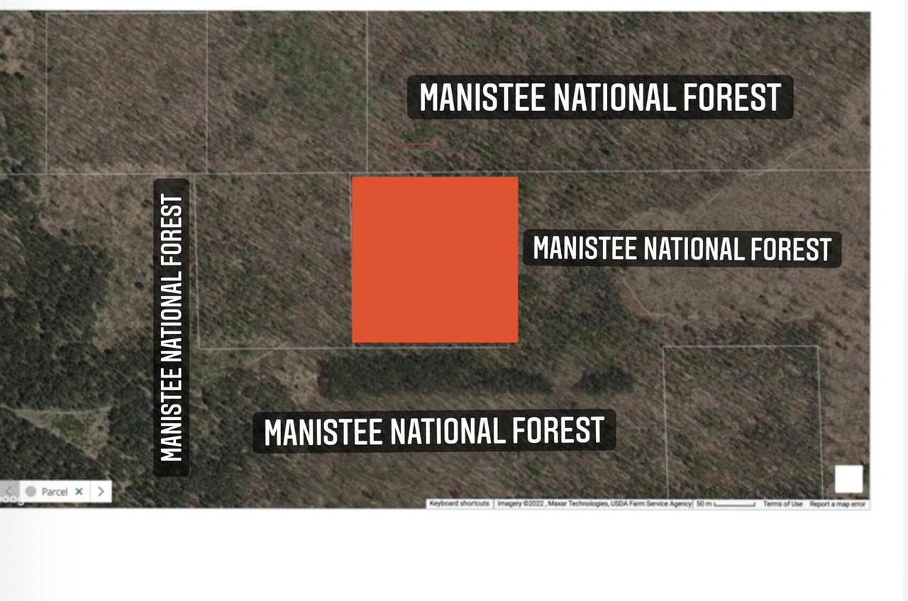 0 East Hoague Road Free Soil, MI 49411 - Photo 5 of 5