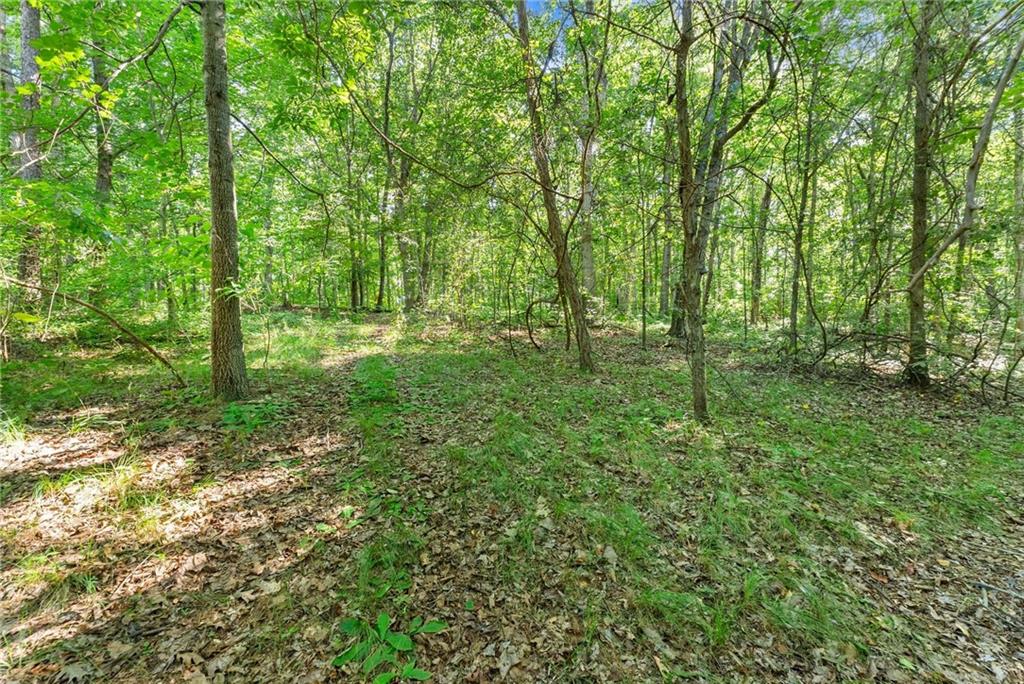 0 Prospect Road Carnesville, GA 30521 - Photo 23 of 38