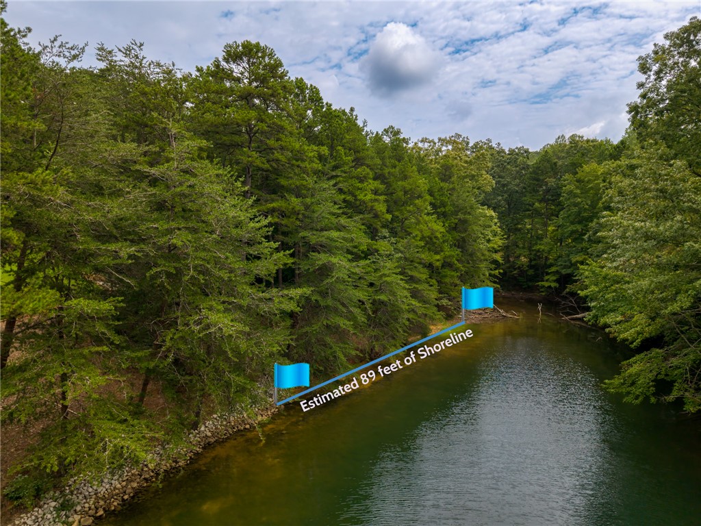 This serene waterfront parcel offers lush greenery and tranquil waters, perfect for a private retreat.