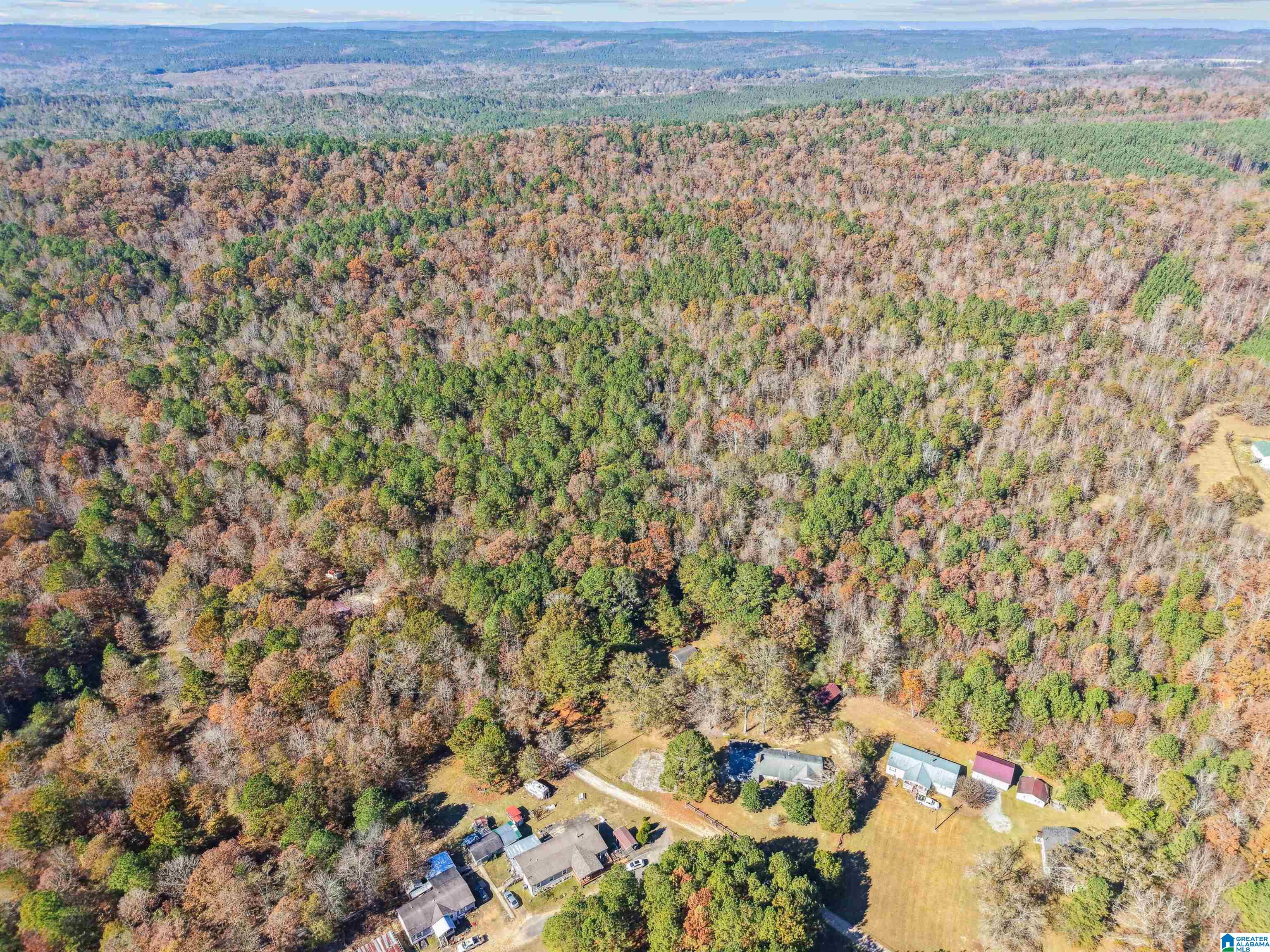 250 Harris Lane Ragland, AL 35131 - Photo 30 of 30
