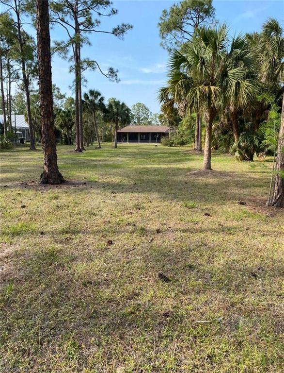 3770 25th Avenue Southwest Naples, FL 34117 - Photo 15 of 15 a view of a tree in a yard