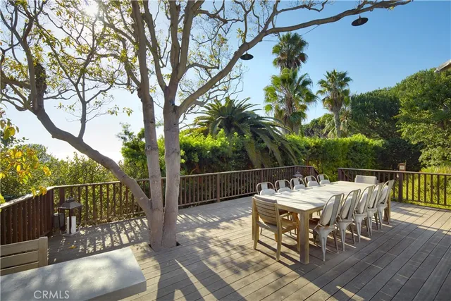 a view of a plant in a garden