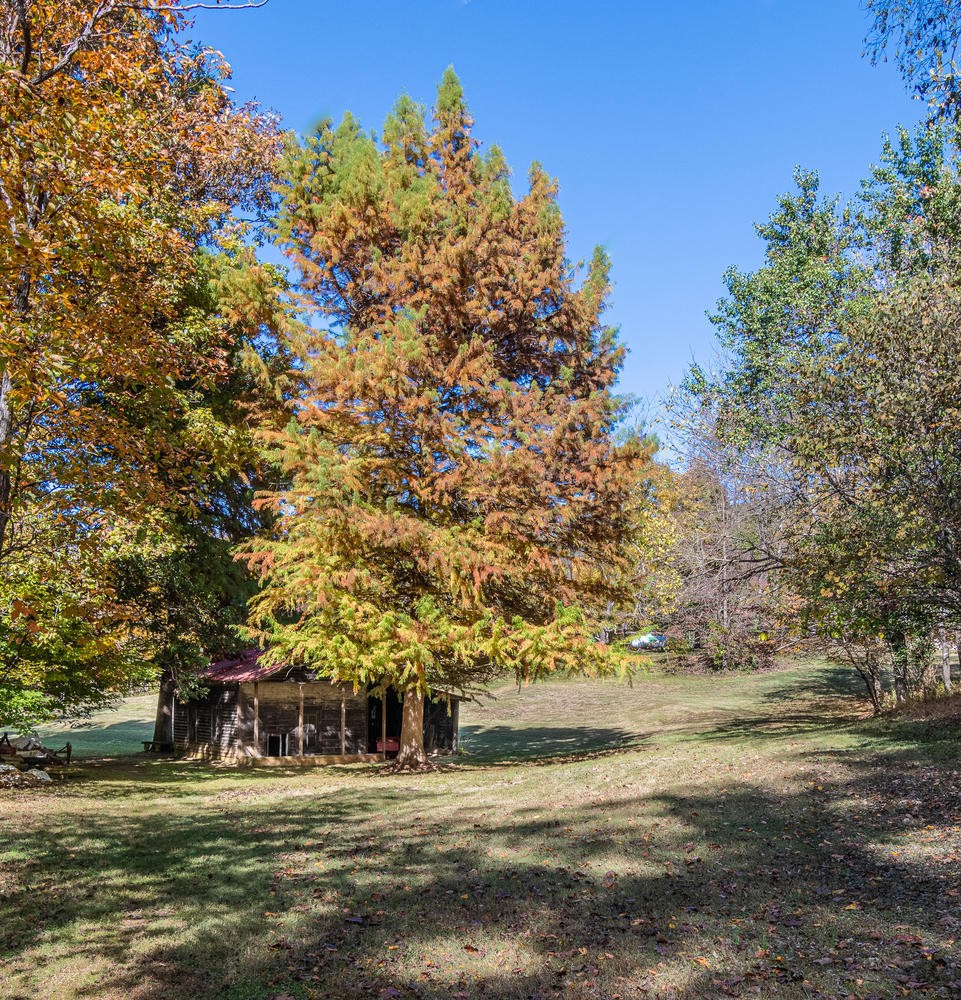 8335 Neubert Springs Road Knoxville, TN 37920 - Photo 21 of 41 Gallery Image 21