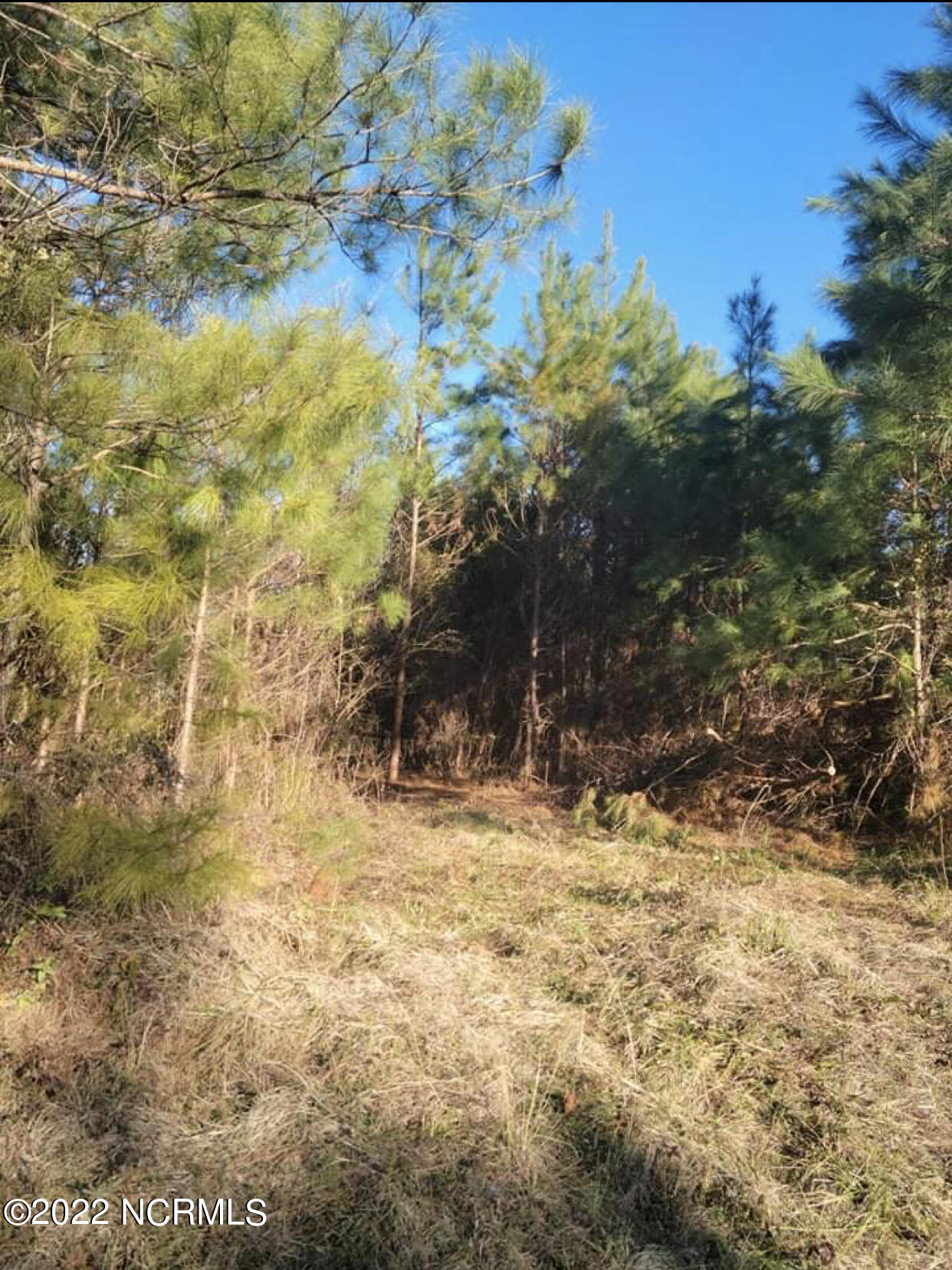 1210 Temples Point Road Havelock, NC 28532 - Photo 1 of 2 Road Front
