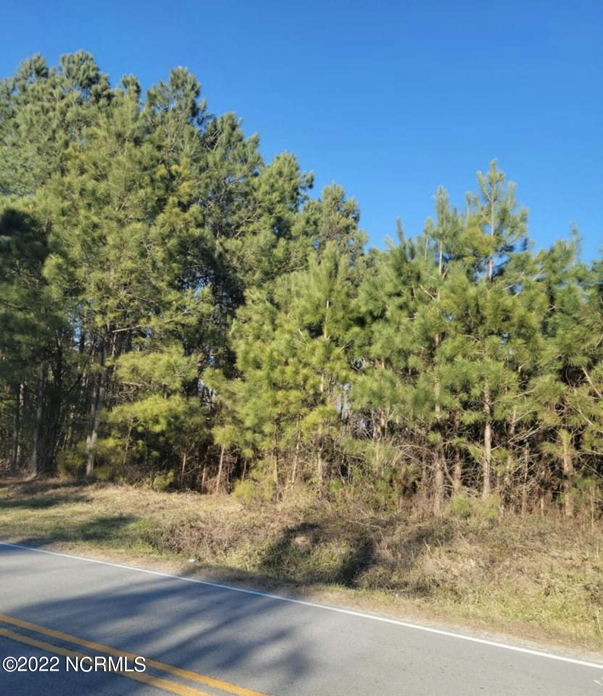 1210 Temples Point Road Havelock, NC 28532 - Photo 2 of 2 Road Front 2