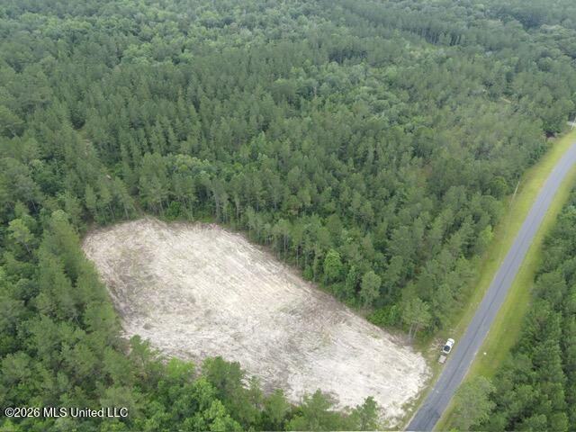 0 Stanford Lake Road Poplarville, MS 39470 - Photo 5 of 8 SL 6