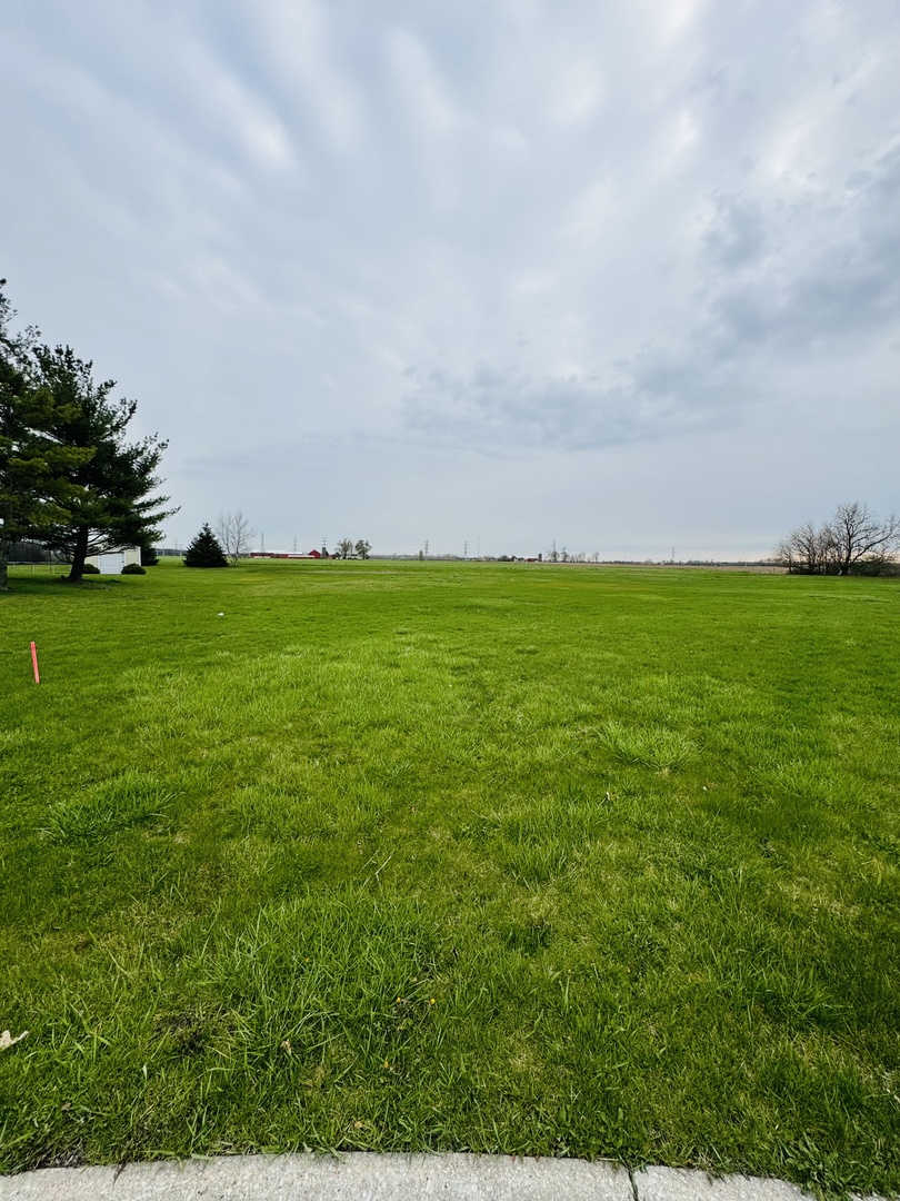 1039 Country Court Crete, IL 60417 - Photo 1 of 1 a view of a field with plants and large trees