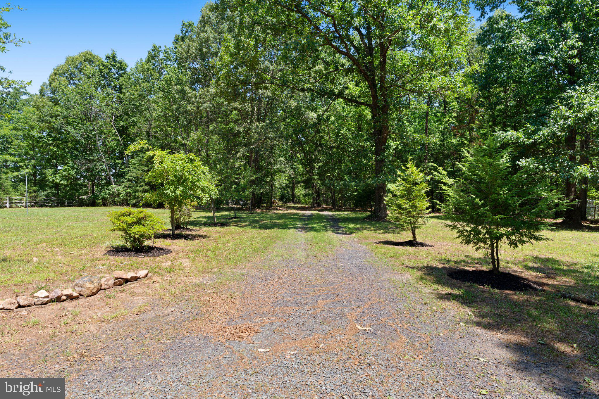 8405 Shirley Road Spotsylvania, VA 22551 - Photo 41 of 42 a view of a park with large trees