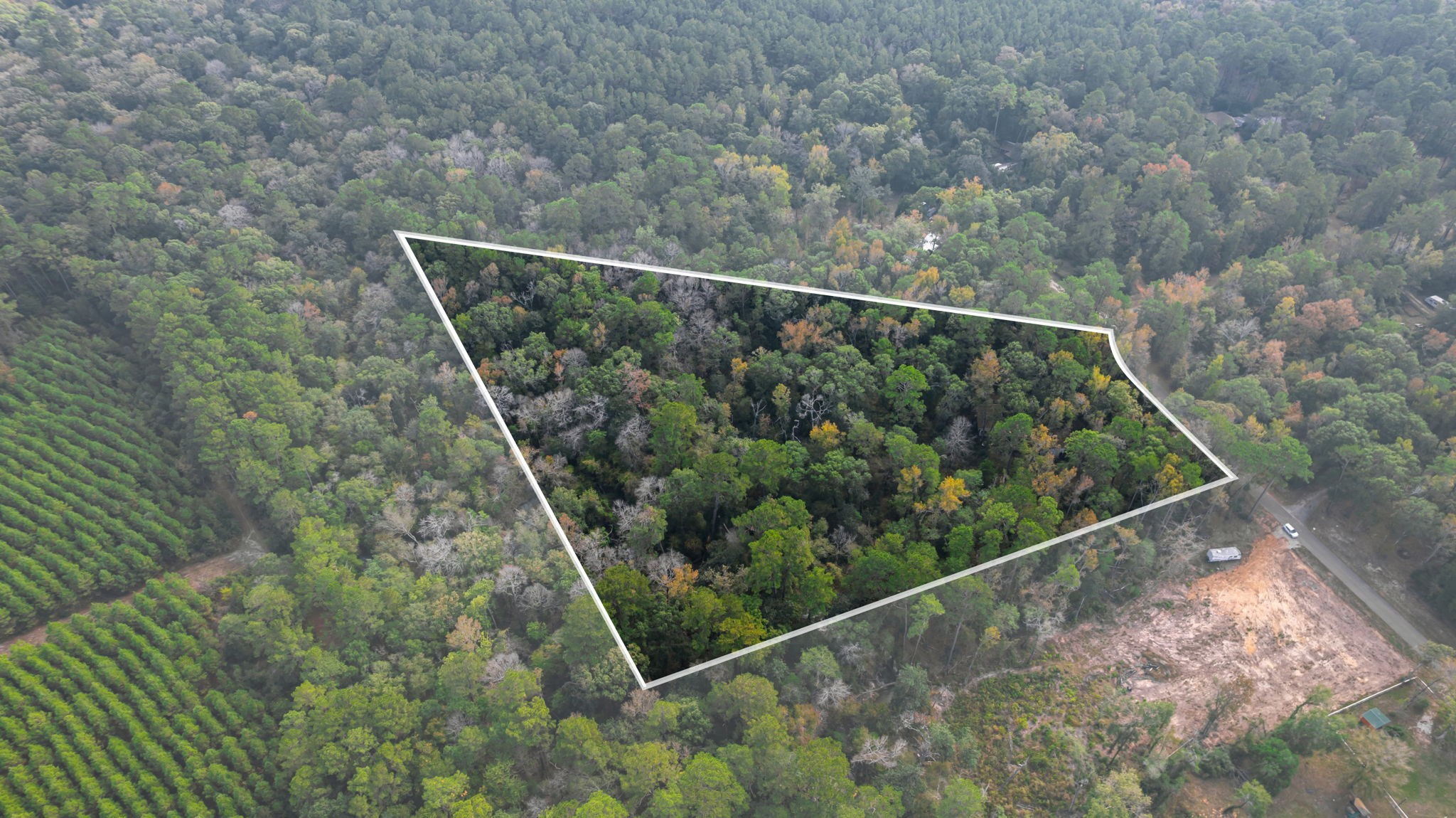 11091 Newton Circle Conroe, TX 77303 - Photo 1 of 13 a view of a forest