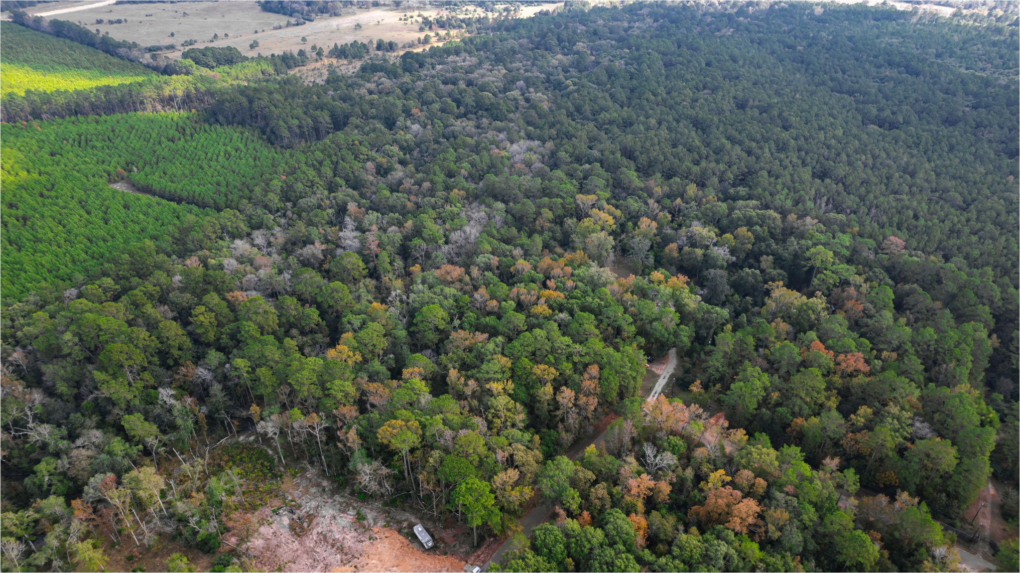 11091 Newton Circle Conroe, TX 77303 - Photo 11 of 13 an aerial view of residential house with outdoor space and trees all around