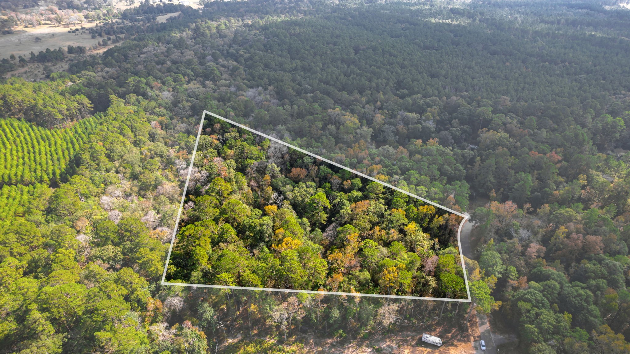 11091 Newton Circle Conroe, TX 77303 - Photo 12 of 13 a view of a forest