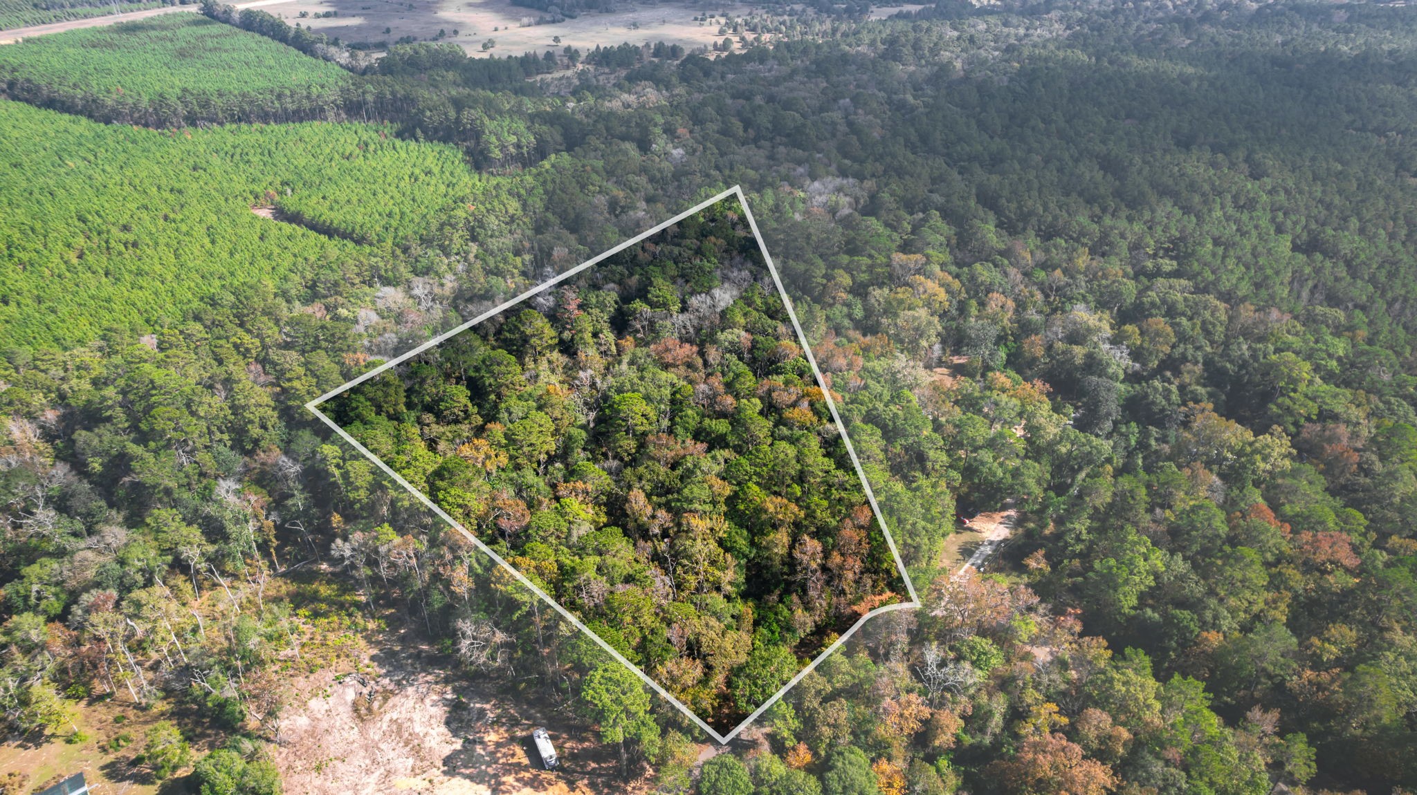 11091 Newton Circle Conroe, TX 77303 - Photo 13 of 13 a view of a forest from a lush green forest