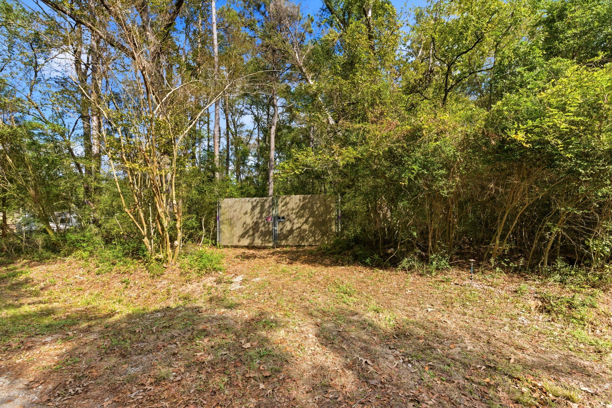 11091 Newton Circle Conroe, TX 77303 - Photo 9 of 13 a backyard of a house with large trees