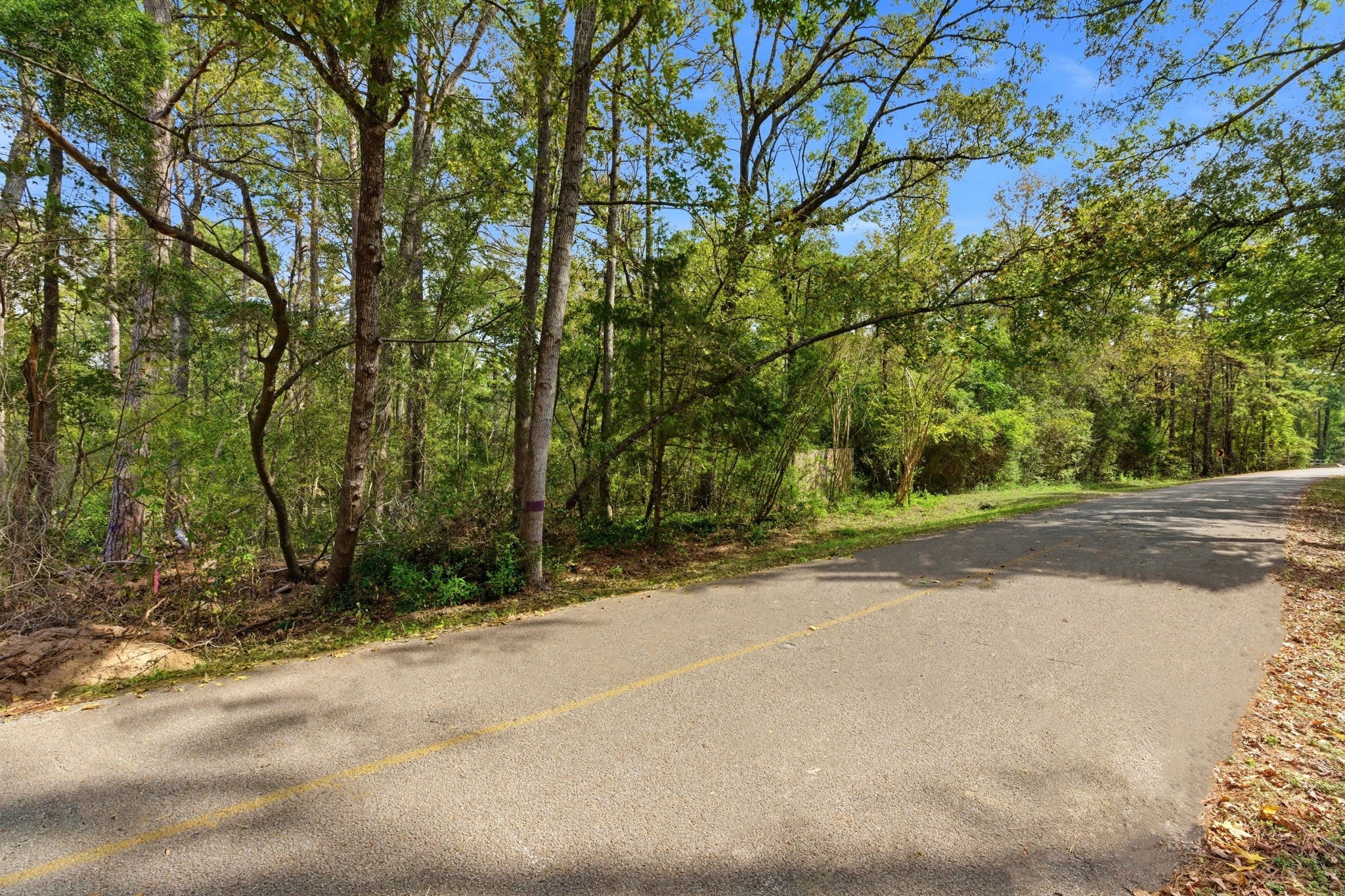 11091 Newton Circle Conroe, TX 77303 - Photo 10 of 13