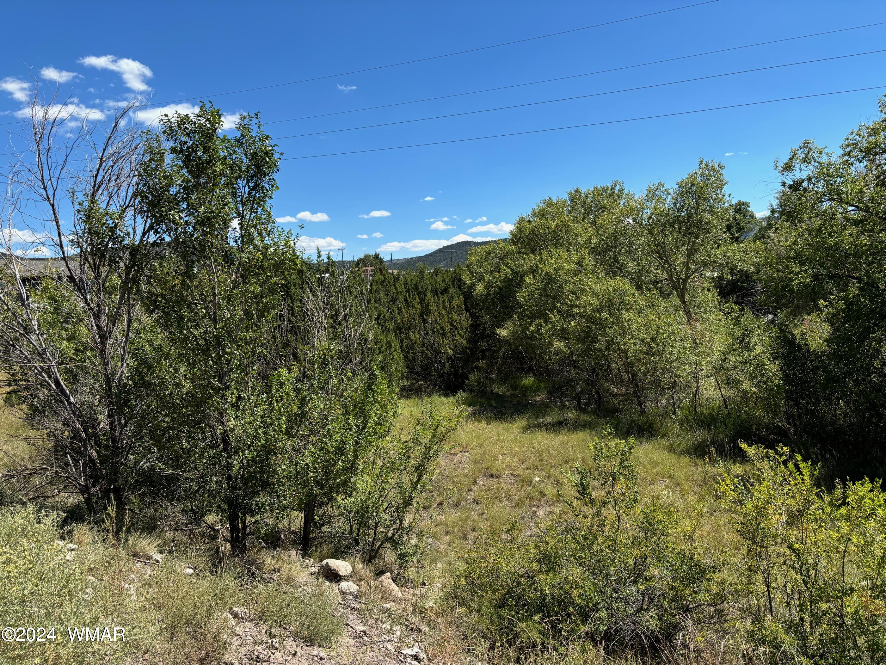 Tbd Tbd 10th Eagar, AZ 85925 - Photo 2 of 5 IMG_0277