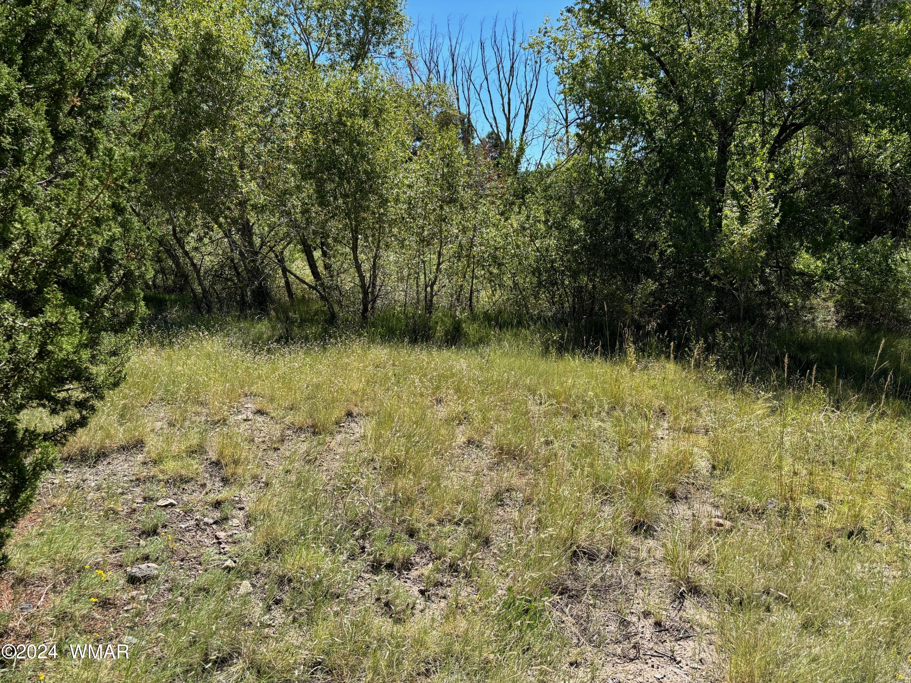 Tbd Tbd 10th Eagar, AZ 85925 - Photo 4 of 5 IMG_0275