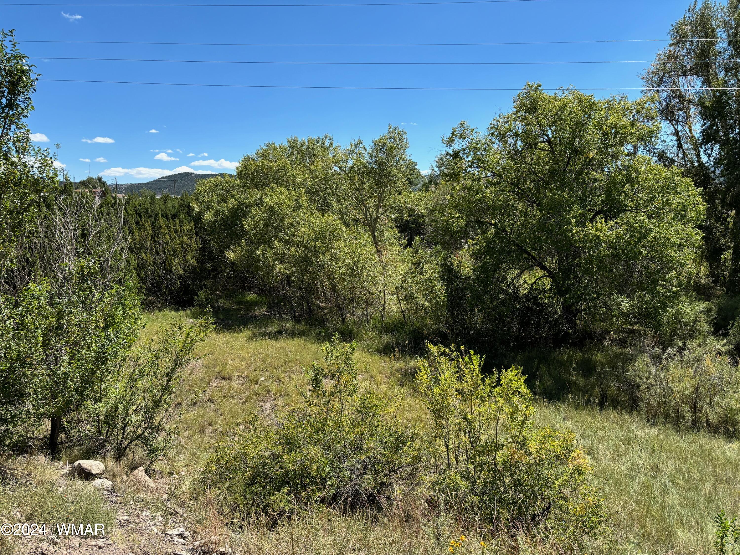 Tbd Tbd 10th Eagar, AZ 85925 - Photo 5 of 5 IMG_0276