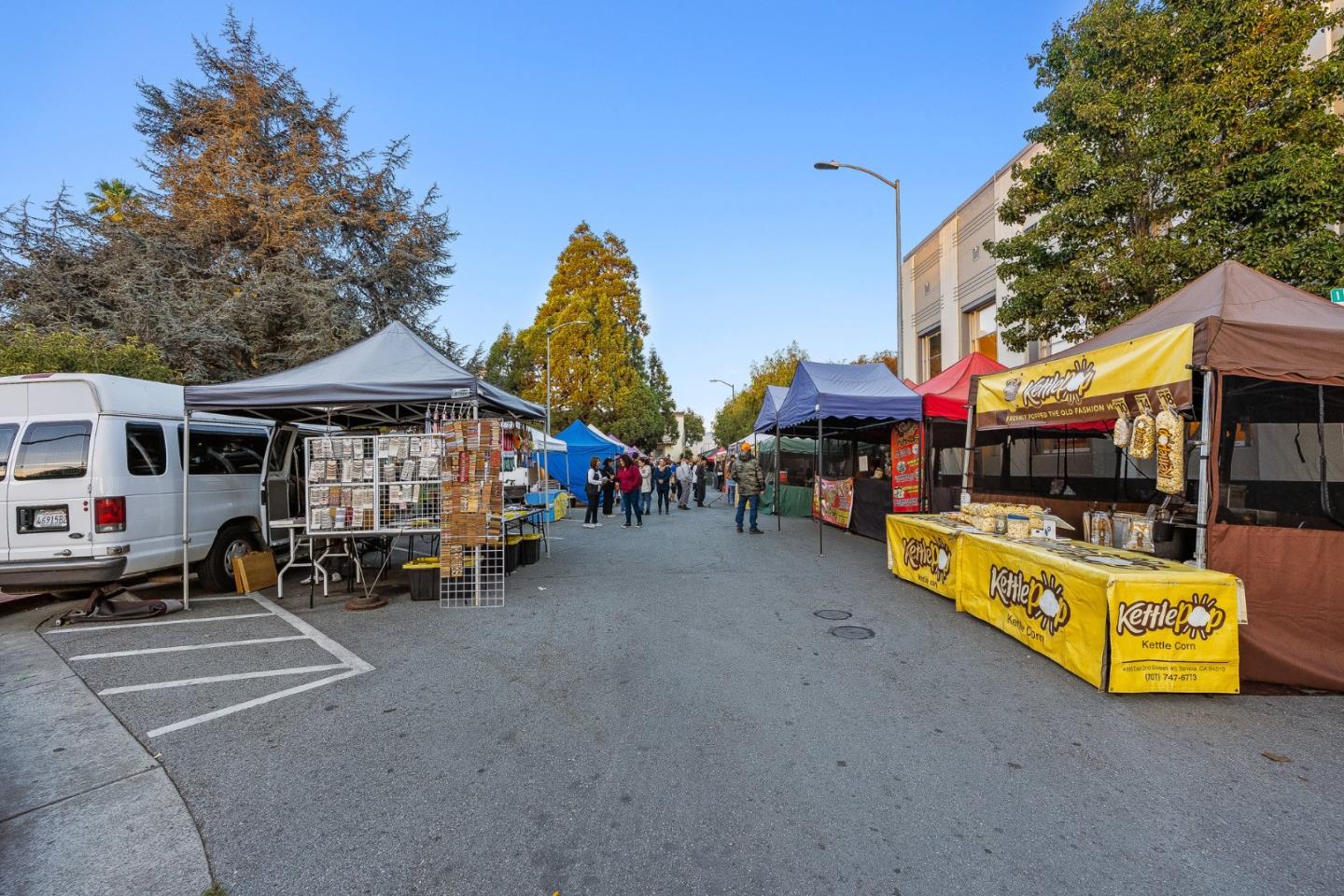 116 Lester Court Watsonville, CA 95076 - Photo 38 of 47 a view of a swimming pool with a lounge chairs and a small yard