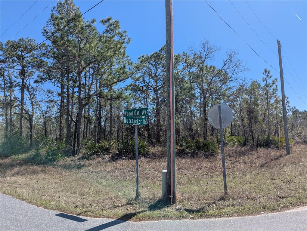 0 Nutcracker Road Weeki Wachee, FL 34614 - Photo 1 of 1 Gallery Image 1