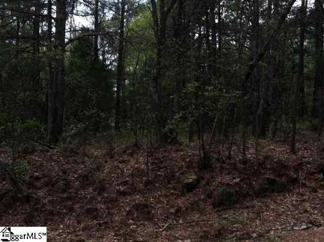0 Foster Road, Unit LOT 5 Williamston, SC 29697 - Photo 1 of 1 Gallery Image 1