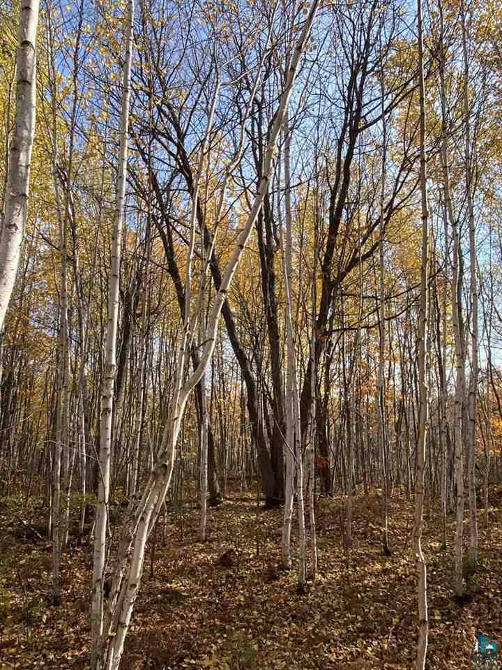 Xxx South Wills Road Brule, WI 54820 - Photo 12 of 30