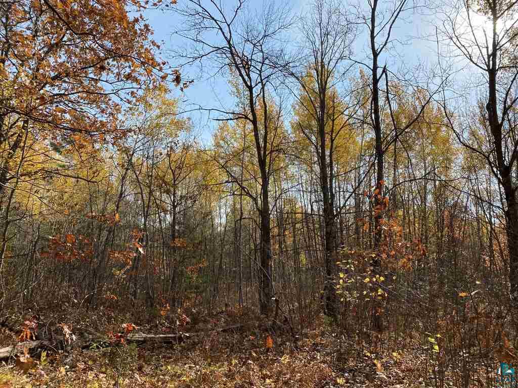 Xxx South Wills Road Brule, WI 54820 - Photo 13 of 30