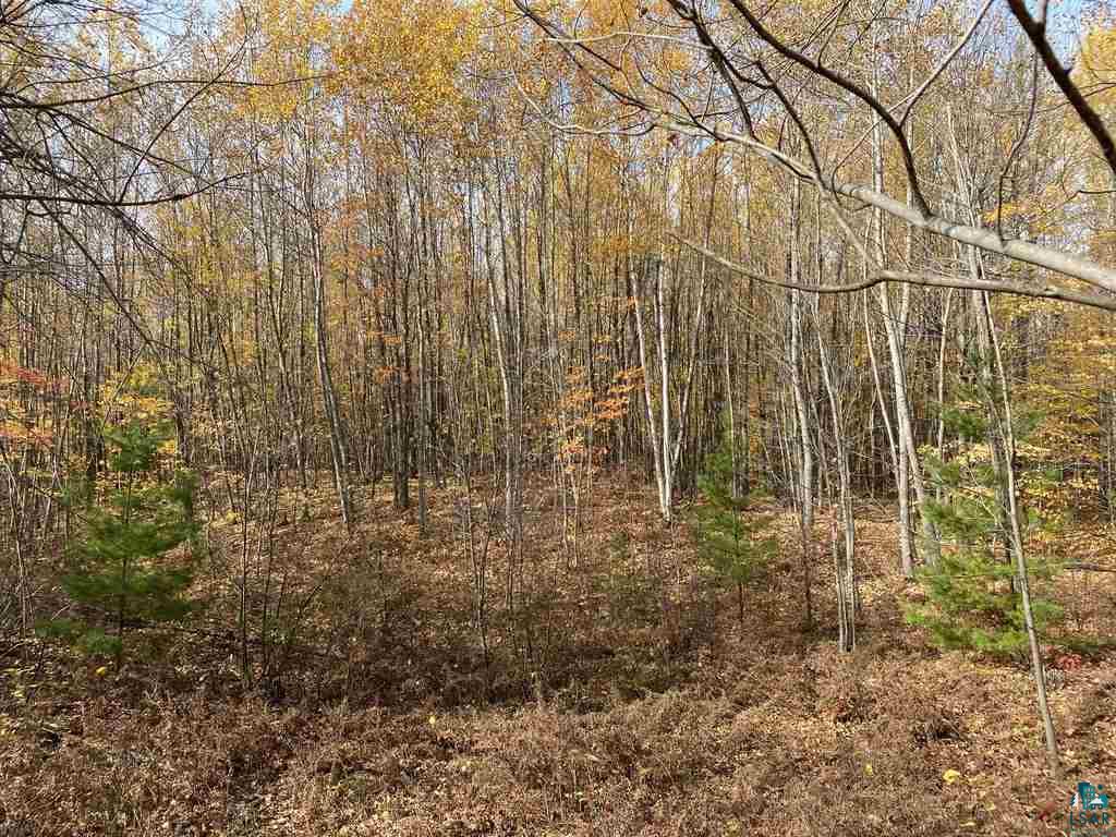 Xxx South Wills Road Brule, WI 54820 - Photo 14 of 30