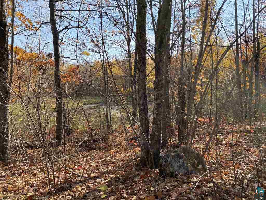 Xxx South Wills Road Brule, WI 54820 - Photo 15 of 30
