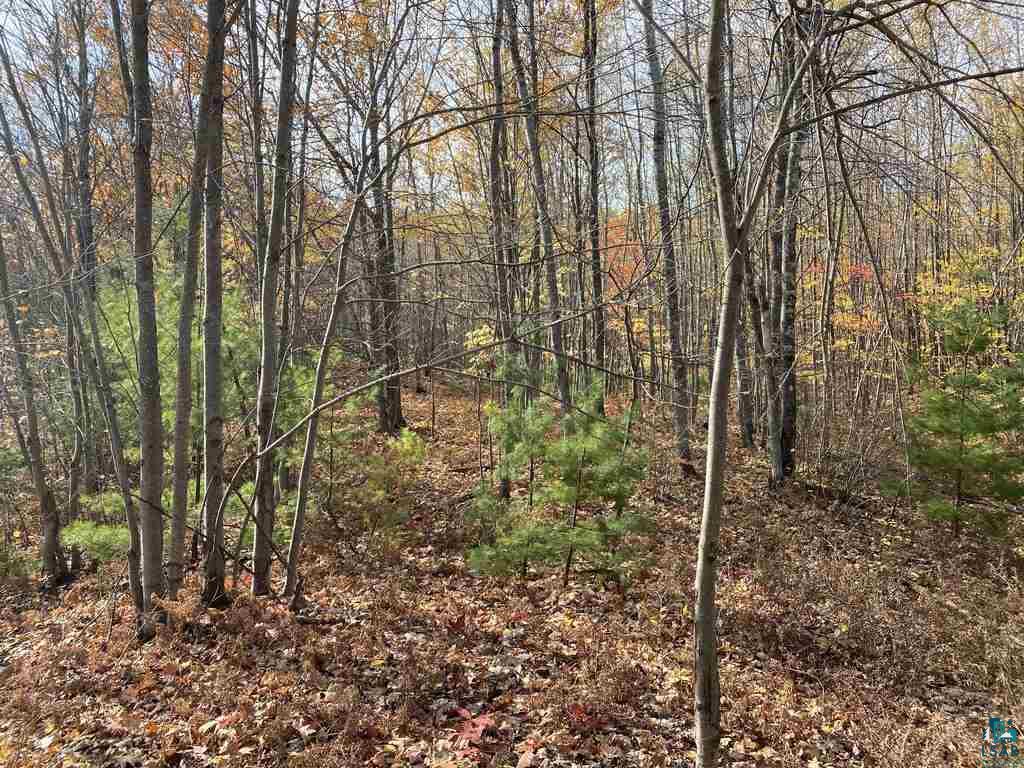 Xxx South Wills Road Brule, WI 54820 - Photo 16 of 30