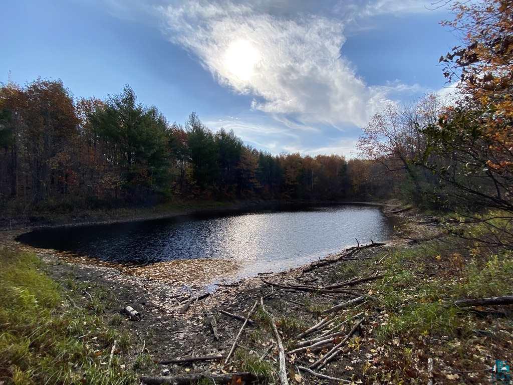 Xxx South Wills Road Brule, WI 54820 - Photo 18 of 30 Pond 1