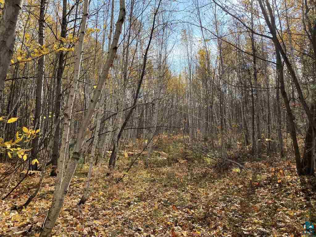 Xxx South Wills Road Brule, WI 54820 - Photo 20 of 30
