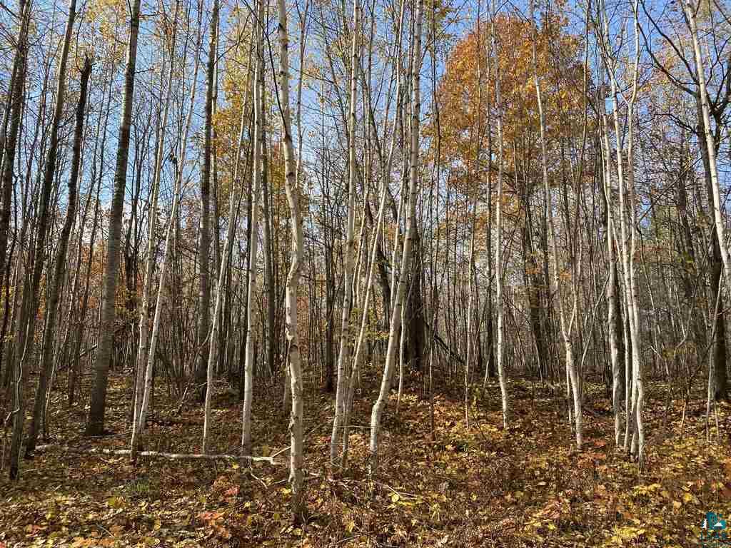Xxx South Wills Road Brule, WI 54820 - Photo 21 of 30