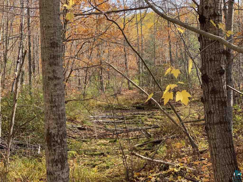 Xxx South Wills Road Brule, WI 54820 - Photo 23 of 30