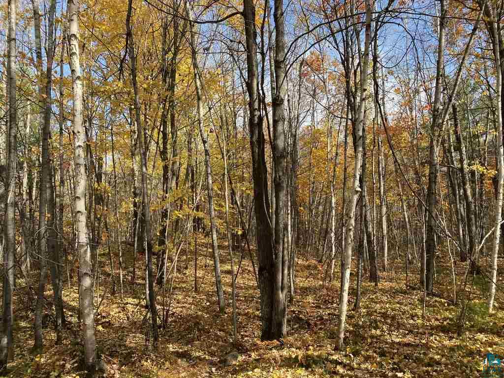 Xxx South Wills Road Brule, WI 54820 - Photo 24 of 30