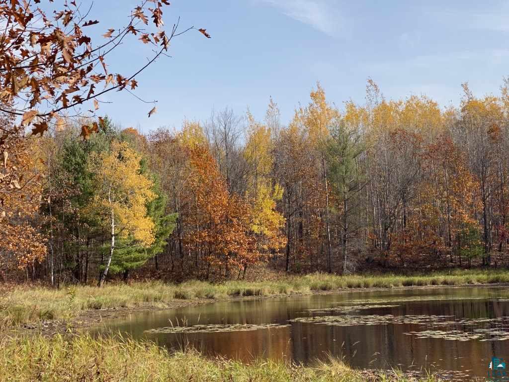 Xxx South Wills Road Brule, WI 54820 - Photo 28 of 30 Pond 2