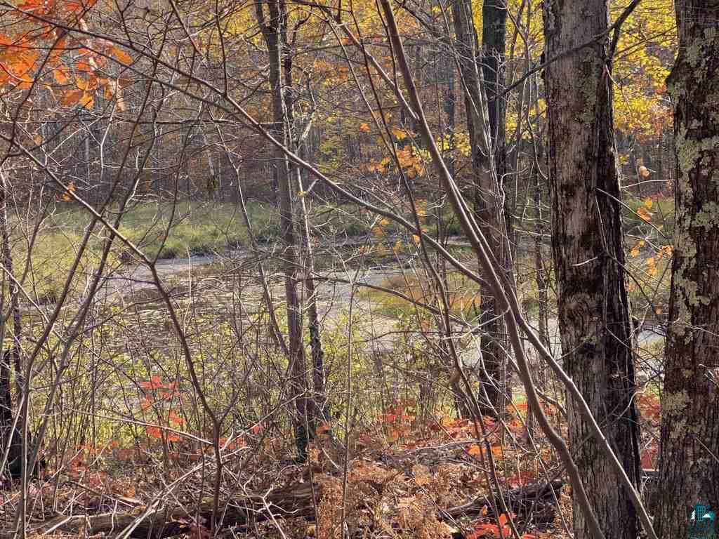 Xxx South Wills Road Brule, WI 54820 - Photo 3 of 30 Pond 3