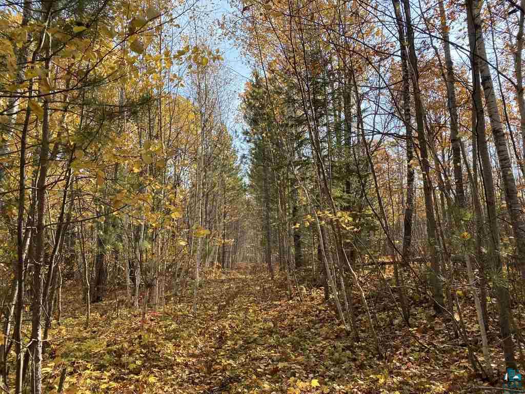 Xxx South Wills Road Brule, WI 54820 - Photo 4 of 30 Trail Through Property