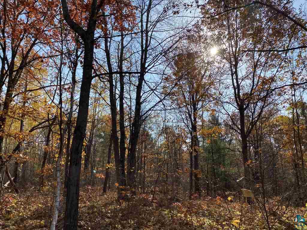 Xxx South Wills Road Brule, WI 54820 - Photo 5 of 30
