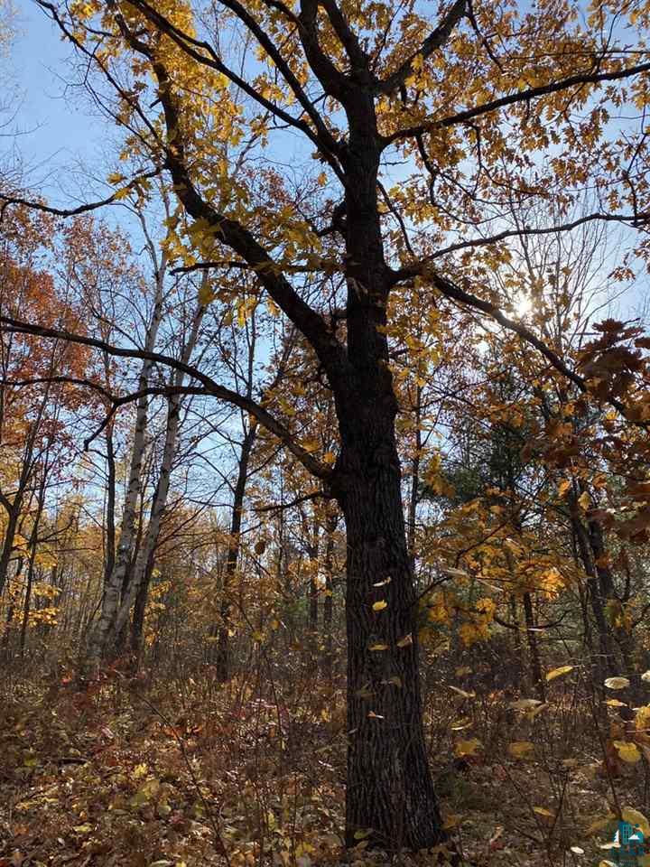 Xxx South Wills Road Brule, WI 54820 - Photo 8 of 30