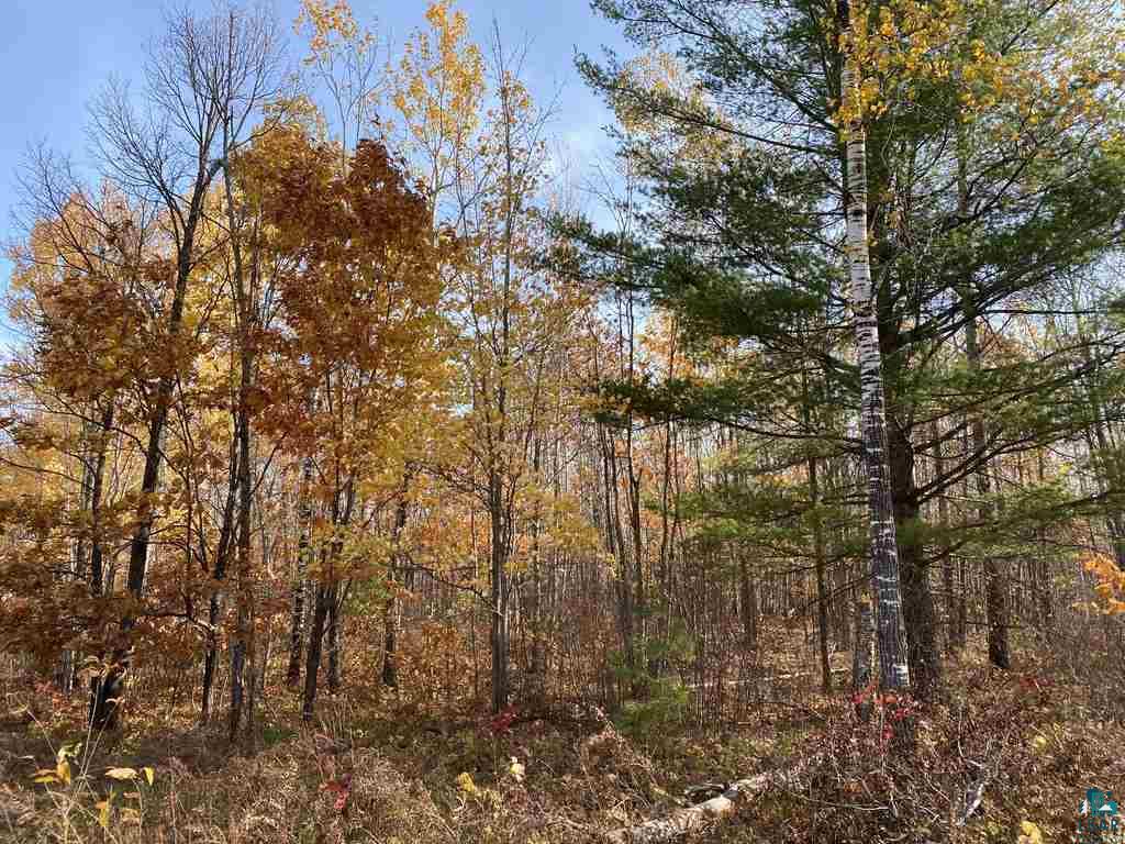 Xxx South Wills Road Brule, WI 54820 - Photo 10 of 30