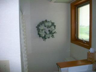 1610 Strasburg Road Monroe, MI 48161 - Photo 12 of 20 Bath Upstairs